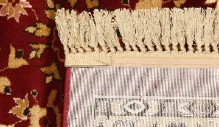 ریشه زنی